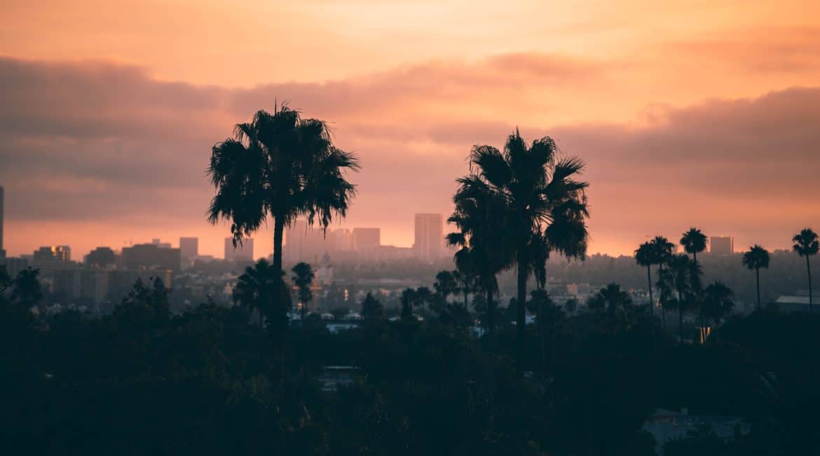 detox center in los angeles , a sunset background with palm trees in the foreground